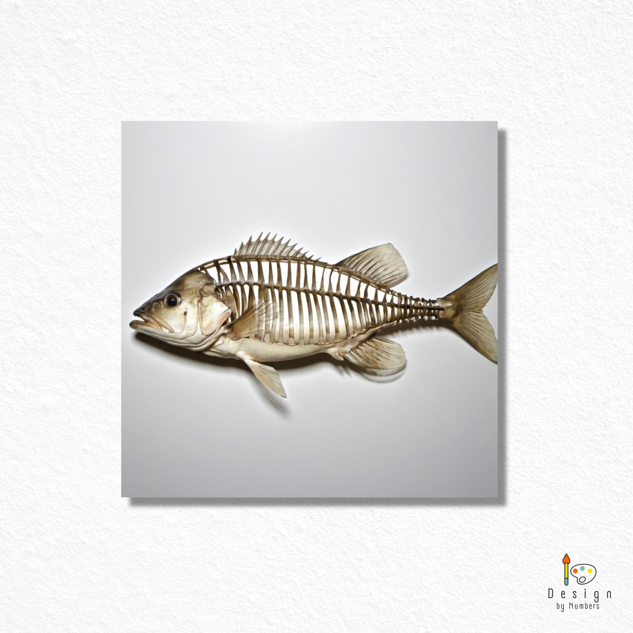 Anatomy of a Fish- Paint By Numbers